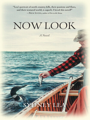 cover image of Now Look